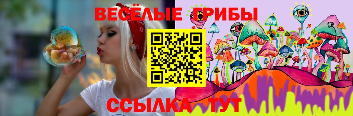 как найти закладки  Псилоцибиновые грибы мухоморы  Вход с VPN  Нефтекамск 